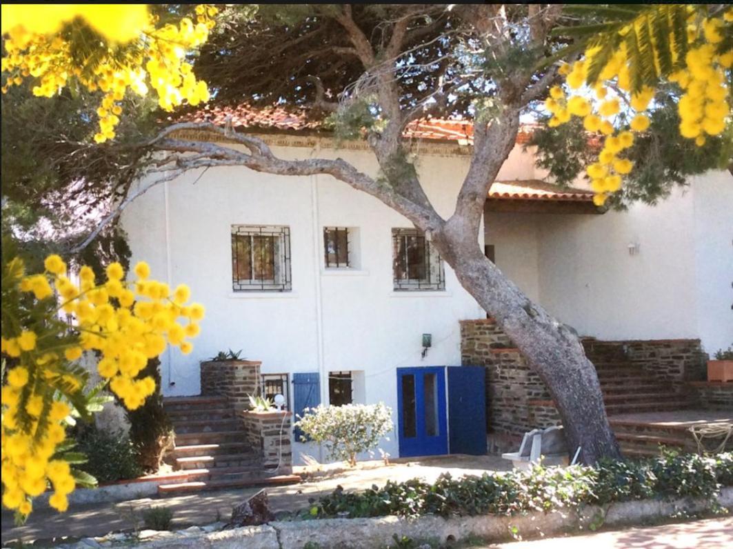 Villa Bleue - Les Pins Port Vendres Esterno foto
