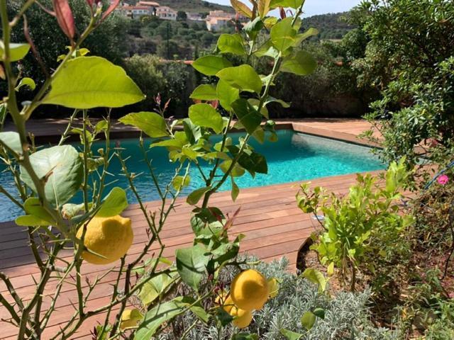 Villa Bleue - Les Pins Port Vendres Esterno foto
